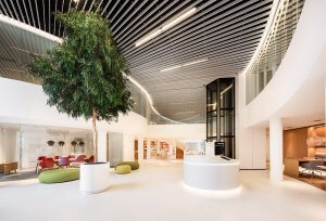 Dit is een interieur met een gemummificeerde boom. De GroenStyliste van StudioCentro maakt graag een afspraak met je om deze prachtige kantoorplanten te plaatsen.
