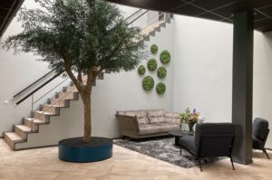 In deze entreehal staat een geprepareerde boom en hebbenm we 7 cirkels met mos opgehangen. De groenstyliste van StudioCentro komt graag in Arnhem om dit onderhoudsvrije groen te plaatsen.