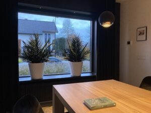 Op deze vensterbank staan twee phoenix palmen. De interieurarchitect van StudioCentro komt graag in Arnhem om deze duurzame planten te plaatsen. 