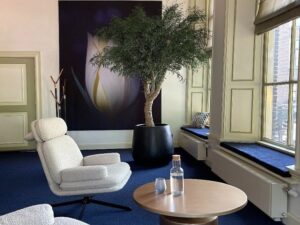 In deze woning is een zeer grote kamerplant neergezet. De interieurarchitect van StudioCentro komt graag in Arnhem dit prachtige boompje plaatsen.