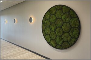 In dit interieur is een grote cirkel met geprepareerd mos opgehangen. De groenstyliste van StudioCentro komt graag in Amsterdam deze volledig onderhoudsvrije mos-kunst plaatsen.