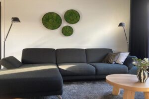In deze woning zijn 3 prachtige mos-cirkels opgehangen. De interieurarchitect van StudioCentro komt ook graag bij jou deze groene kunst plaatsen.