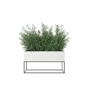 Rectanglar 120 - Eucalyptus